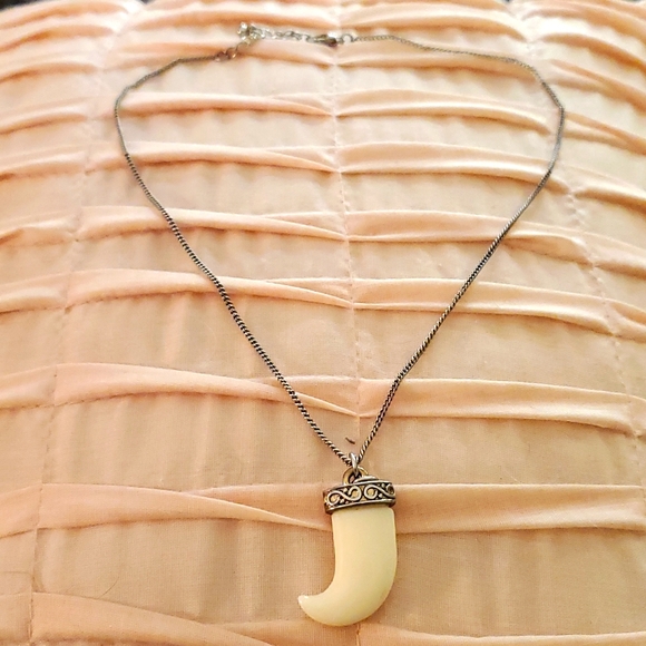 Animal Tooth Chain - Picture 4 of 5